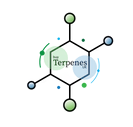 Voucher codes Buy Terpenes