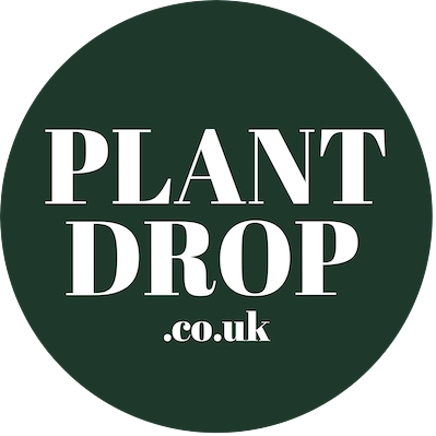 Voucher codes Plant Drop
