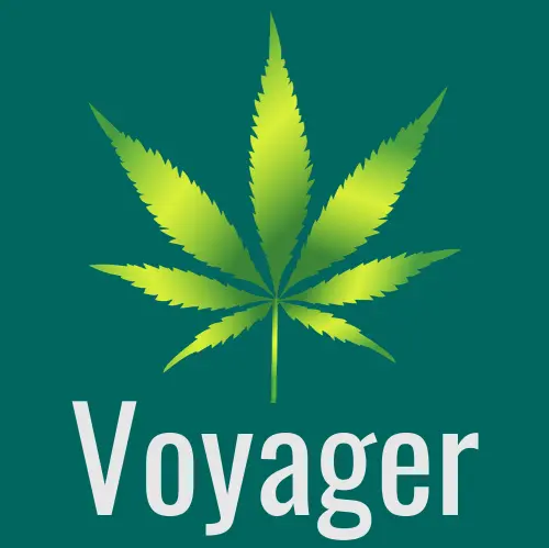 Voucher codes Voyager CBD